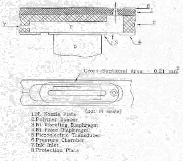 wpe5.jpg (12363 bytes)